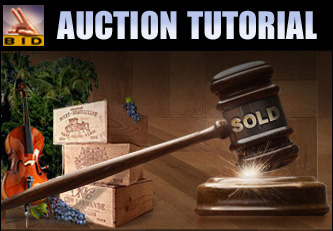 Place A Bid Tutorial